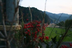 とある田舎の風景③
