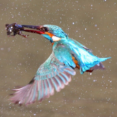 こいつはちょっと香ばしいよ〜