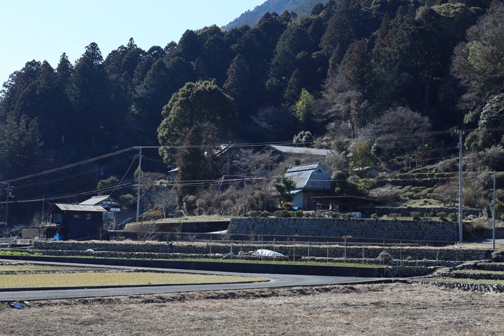 山間にて