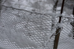 金網に吹きつける雪