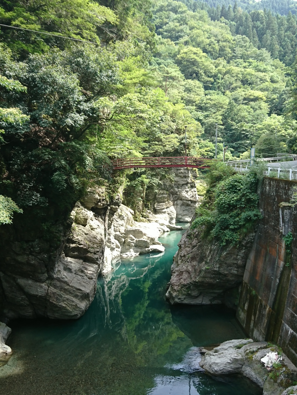静かな夏
