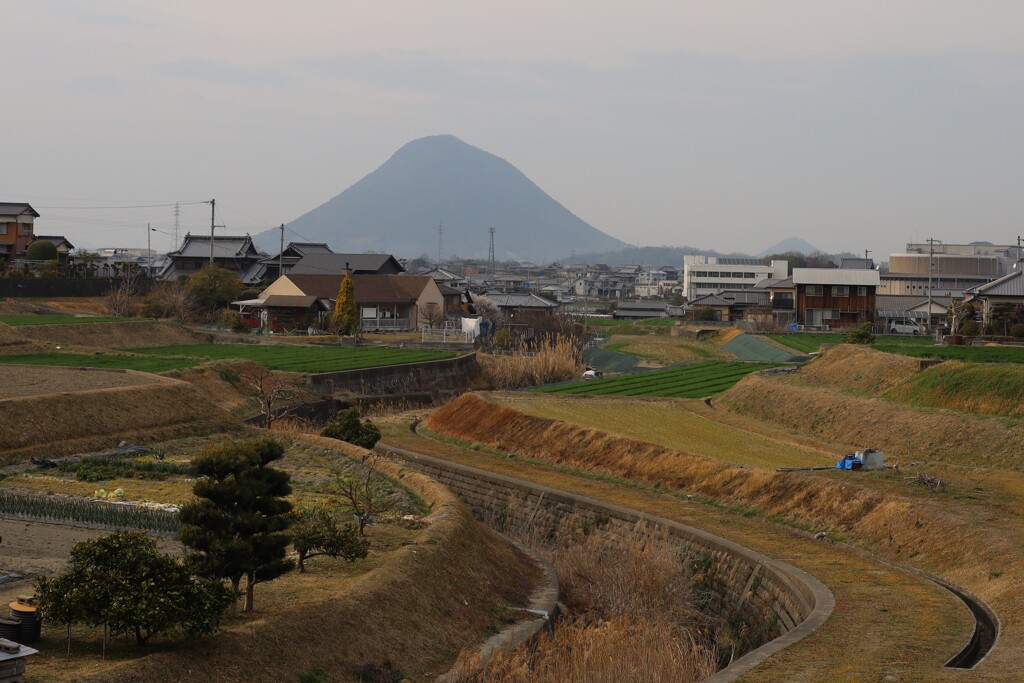 3月の飯野山