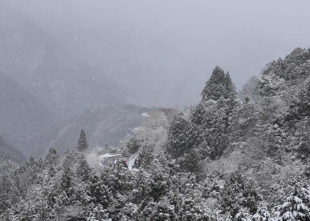 山道