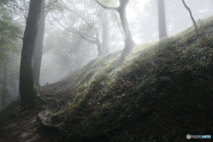 雨のち晴れの道中