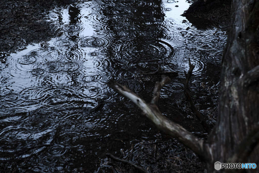 雨