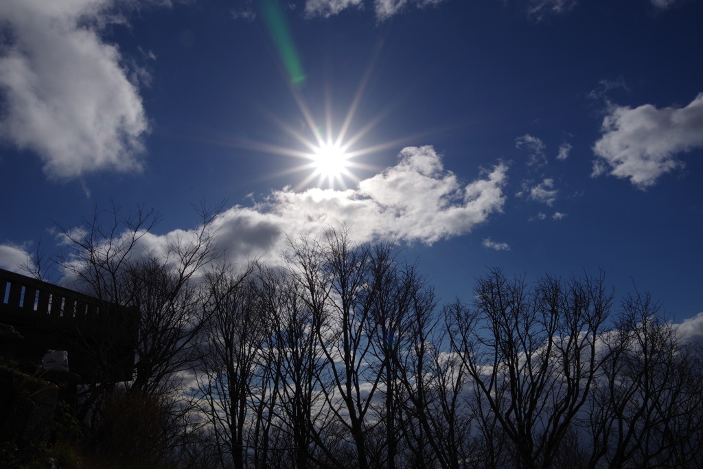 冬の束の間の晴れ☀️.°
