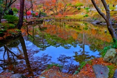 逆さ紅葉のリフレクション