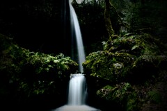 新潟県の白玉の滝