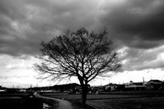 4208AD27-F7BB-482C-8190-63092ADD1657