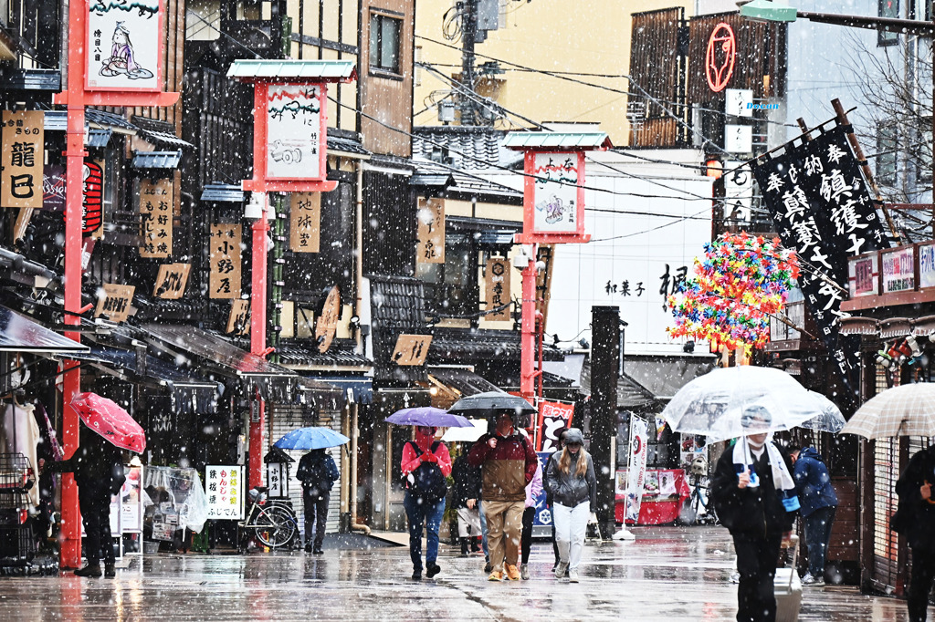 雪ではなくみぞれでした