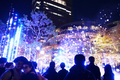 東京ミッドタウンのイルミネーション　その３