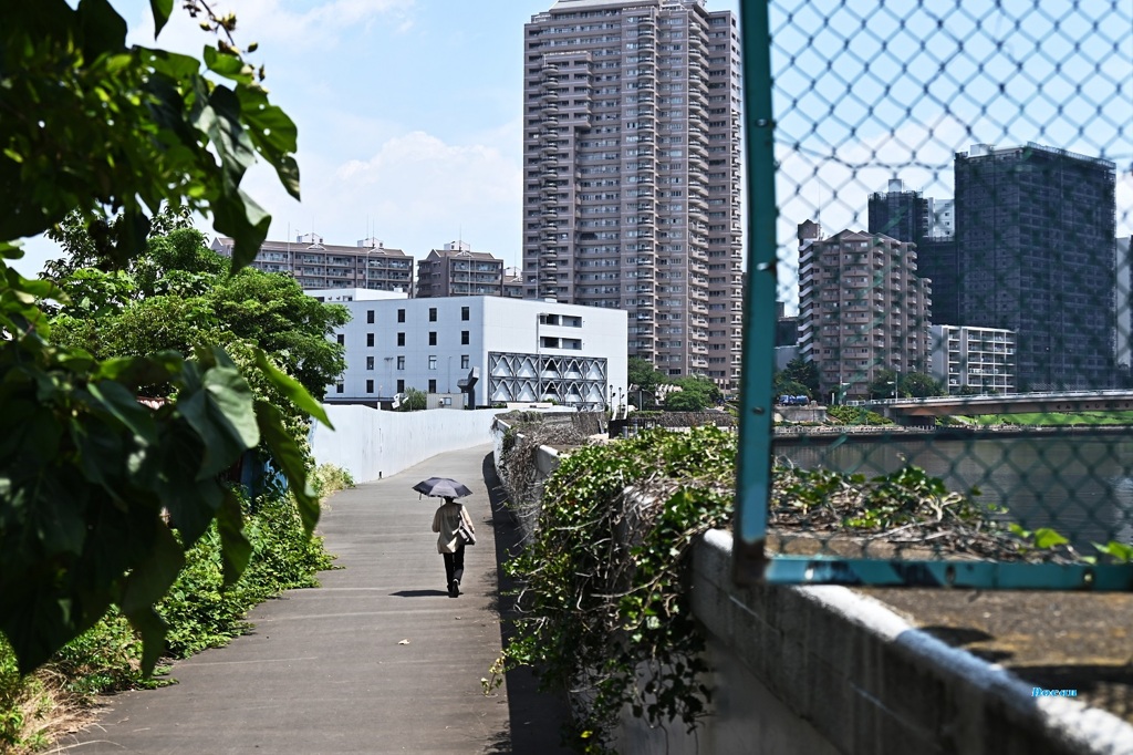 梅雨の晴れ間の隅田川
