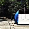 公園の夏