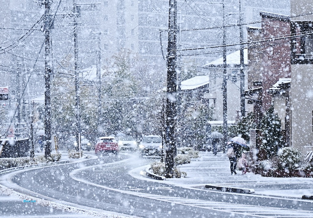 天気予報大当たり！！