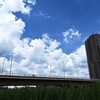 夏空　夏草
