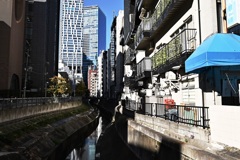 冬空の渋谷川