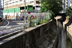 川と道