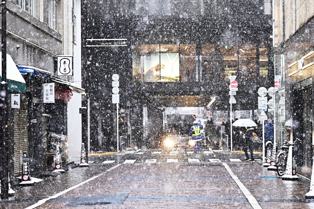 ちょっとーーーヤバくなってきましたーー