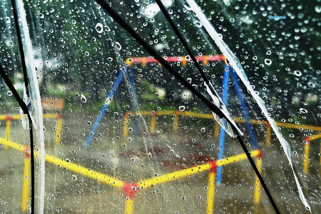 雨の日曜日