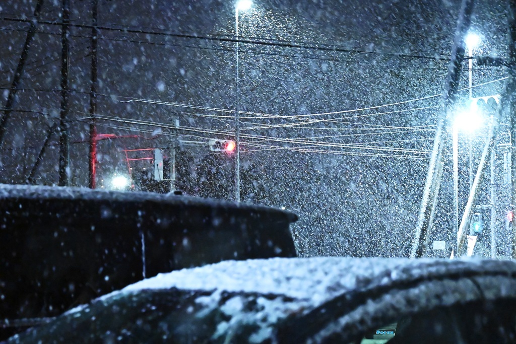 初雪～こんこん