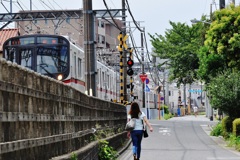 電車といっしょ