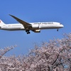 春空に満開の桜～おまけに飛行機～