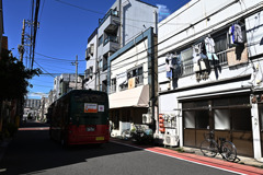 バス通りの夏