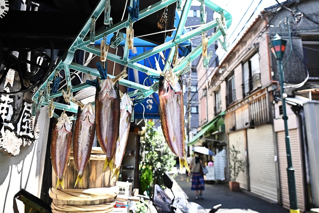 洗濯ハンガーには干物が似合う