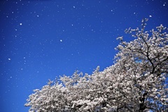 春風～晴れ風～～