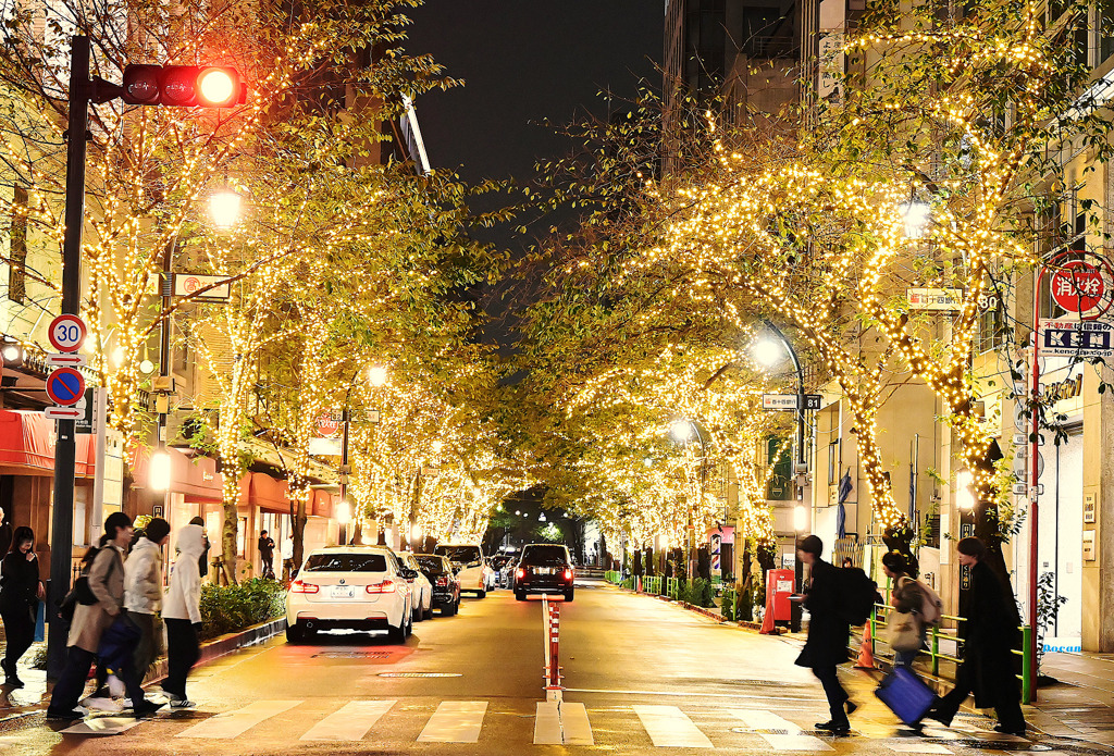 今年もイルミネーションの季節が来てしまった・・