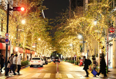 今年もイルミネーションの季節が来てしまった・・