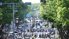 若葉色の季節