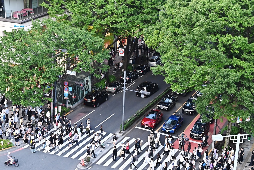 上から見ても～横断歩道～