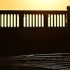 夕暮れシルエット