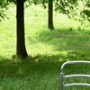 初夏のような午後・・・