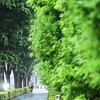 雨の日こそ～カメラ片手に街に出ようと～いつも思ってる╮(︶︿︶)╭