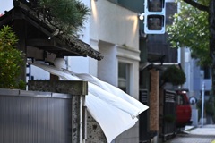 風は遊ぶ～～～