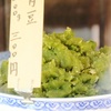 青豆