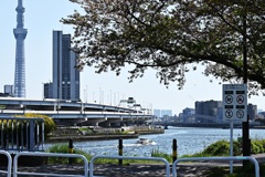 川下りの船