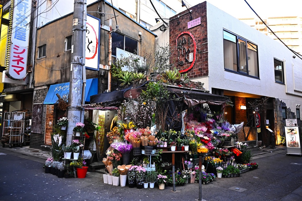 かどの花屋さん