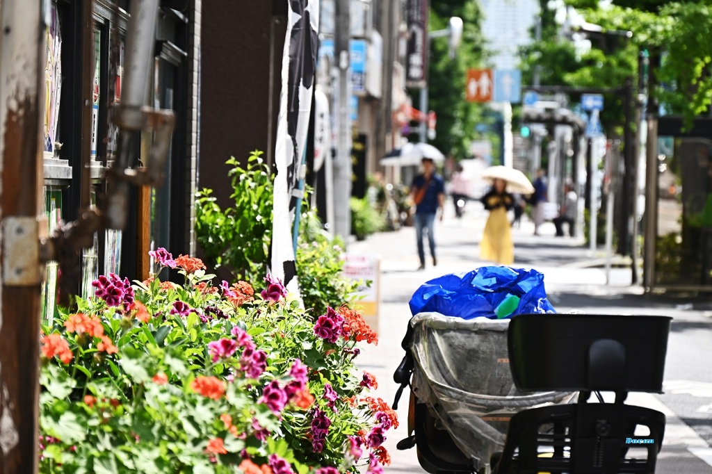 夏のような日差しだけど～汗をかくほどじゃない