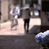 梅雨入り前の花屋さん