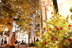 丸の内仲通りのイルミネーション　その３