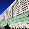 順光・・