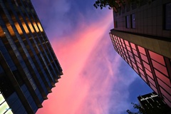 真上を見たら～～夕焼け空
