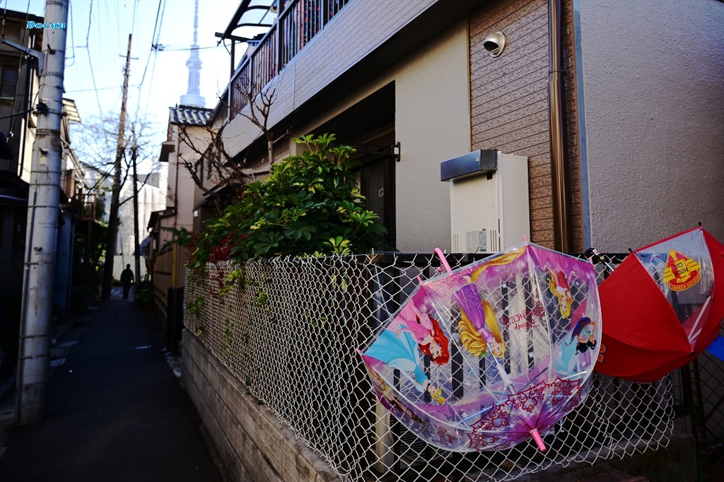 Colorfulナ路地