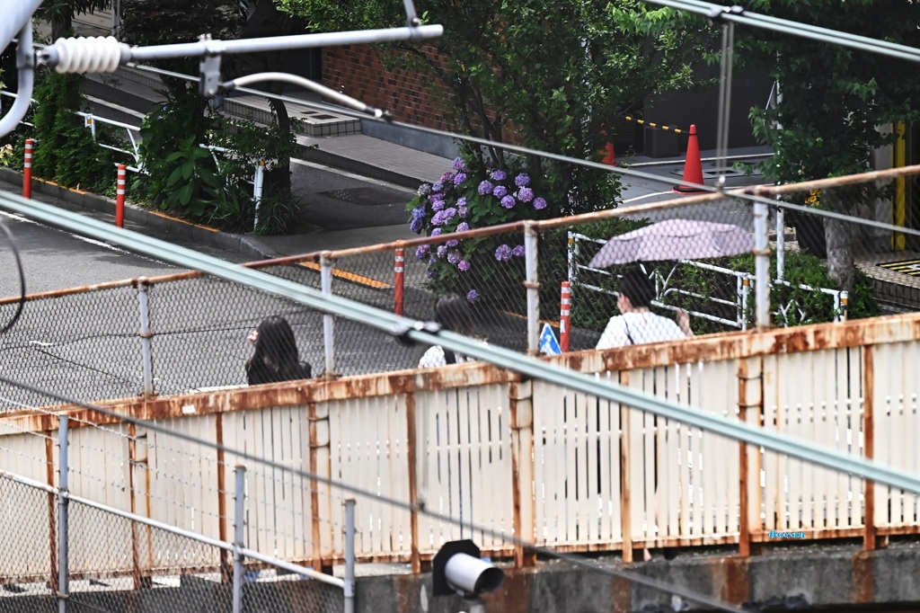 梅雨がまだ来ないのに～紫陽花が終わろうとしている