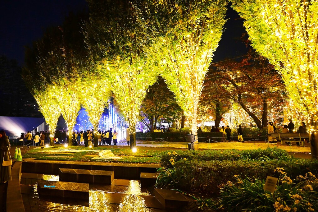 東京ミッドタウンのイルミネーション　その１