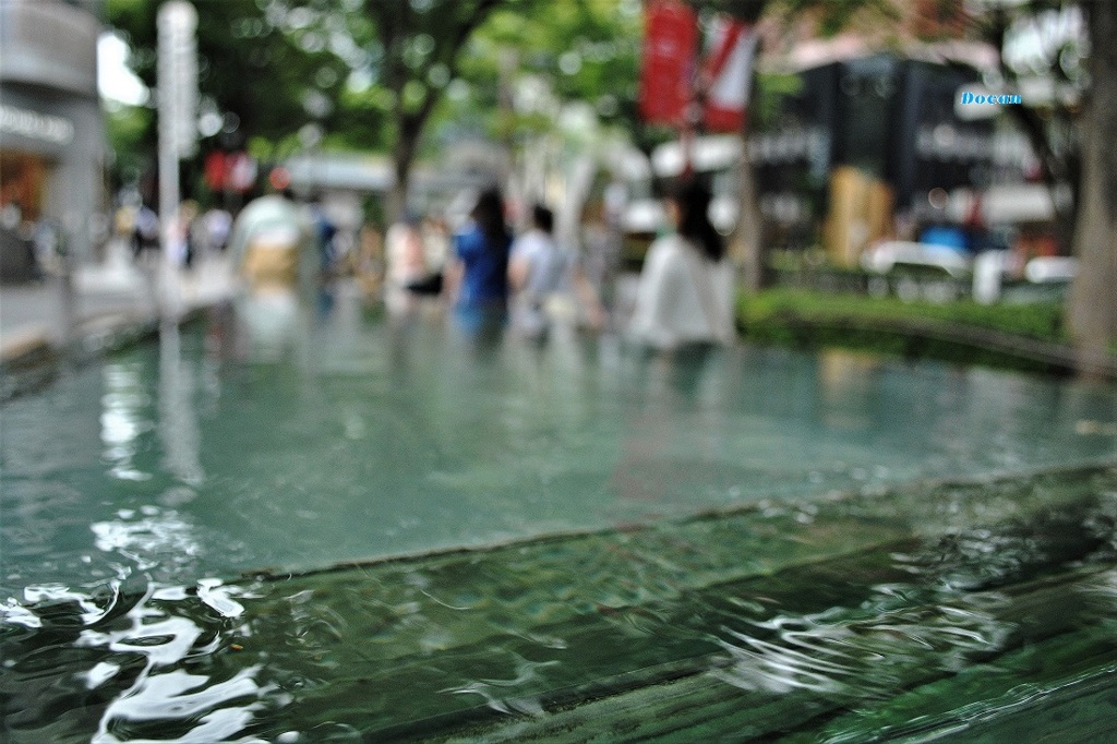 ただよう水