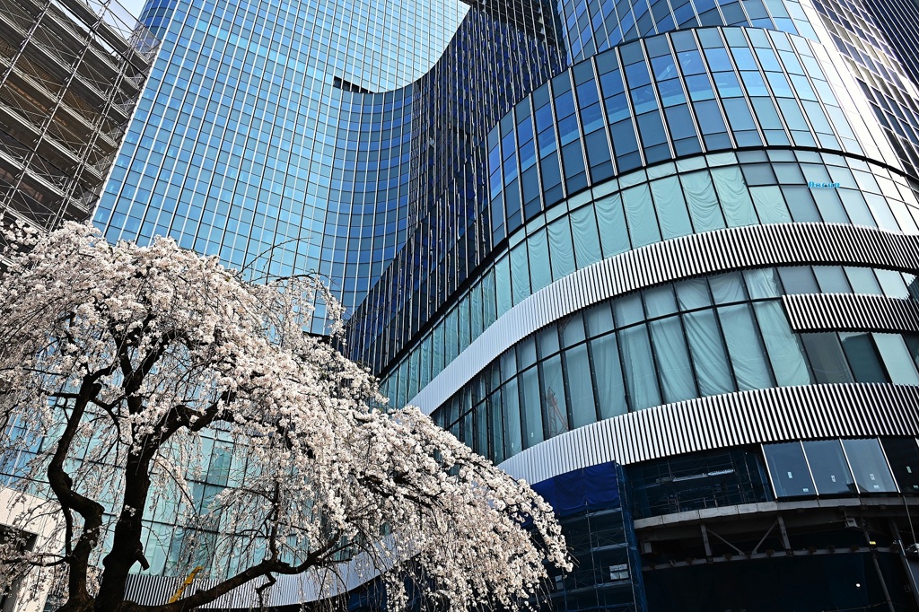 工事現場にも春